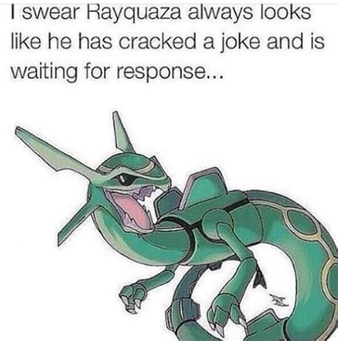 rayquaza meme|the funniest pokemon memes.